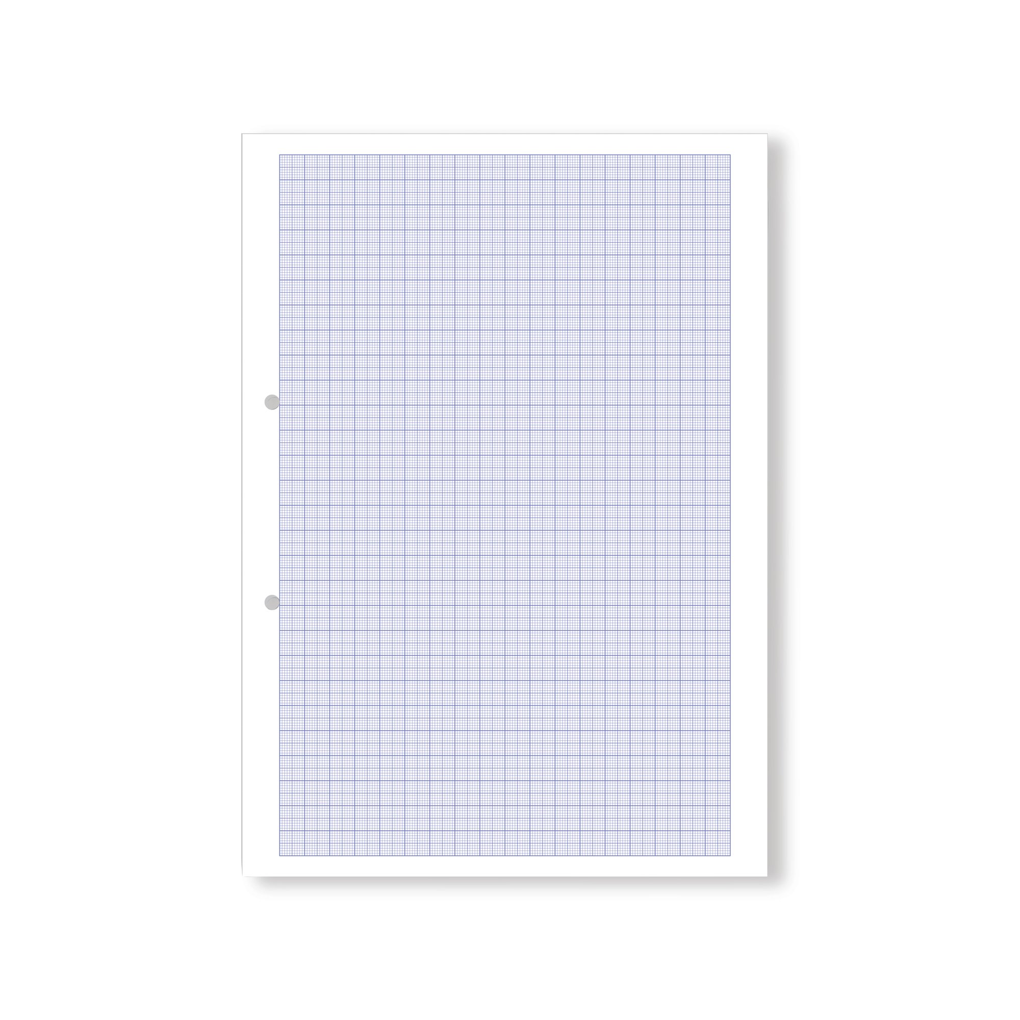 Hamelin Loose Leaf Graph Paper 10mm 1000 Page Punched 2 Hole A4 (Pack of 5) 100104375