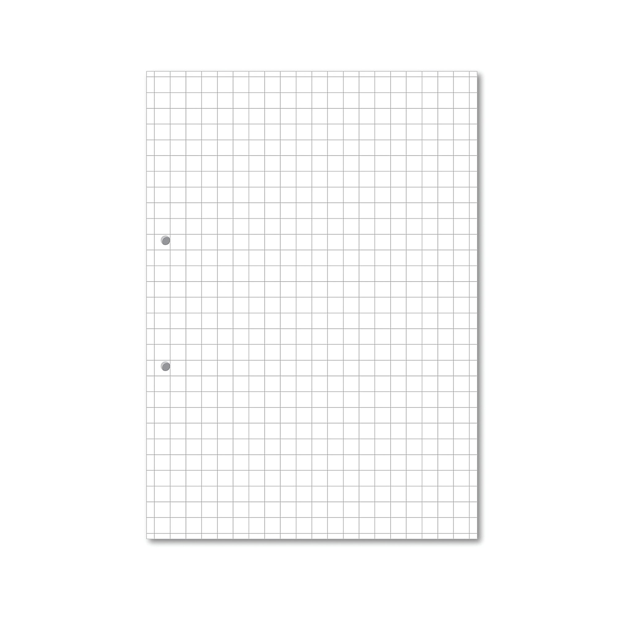 Hamelin Loose Leaf Paper 10mm Squared 1000 Page Punched 2 Hole A4 (Pack of 5) 100104180