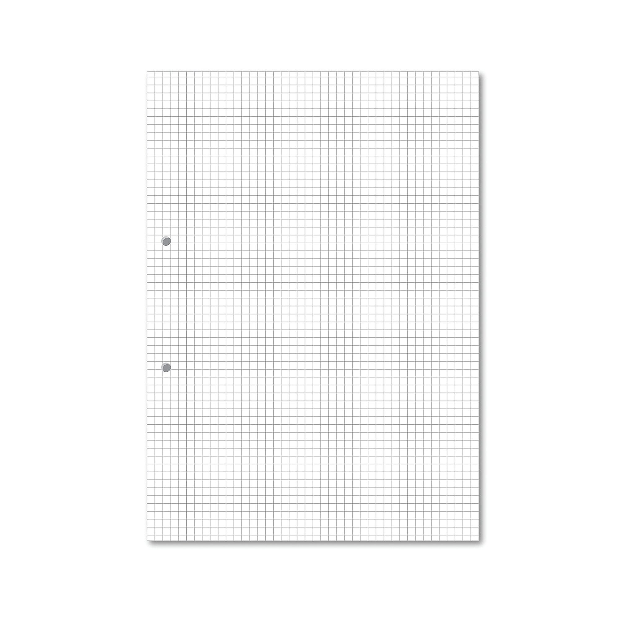 Hamelin Loose Leaf Paper 5mm Squared 1000 Page Punched 2 Hole A4 (Pack of 5) 100103318
