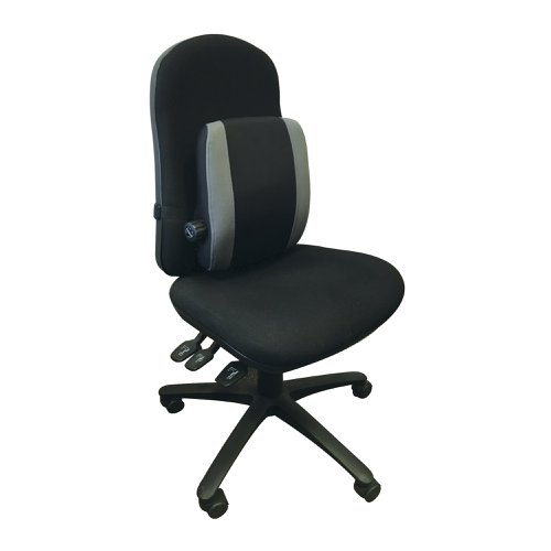 Contour Ergonomics Adjustable Premium Lumbar Back Support Black/Grey CE77701 | Contour Ergonomics