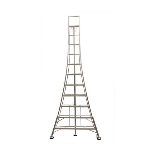 ABR92509