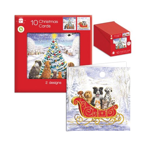 Greeting Cards Square Traditional Puppy/Kitten x10 CDU (Pack of 24) XANGC809