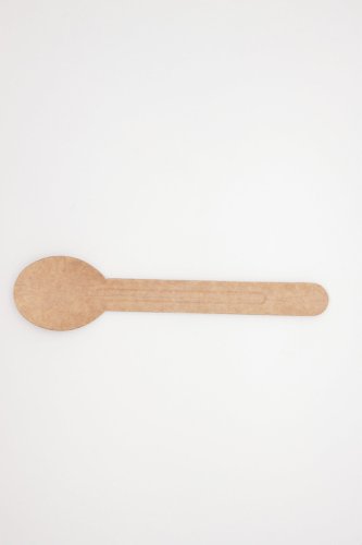 Paper Spoon (Pack of 100) FP-PCS100