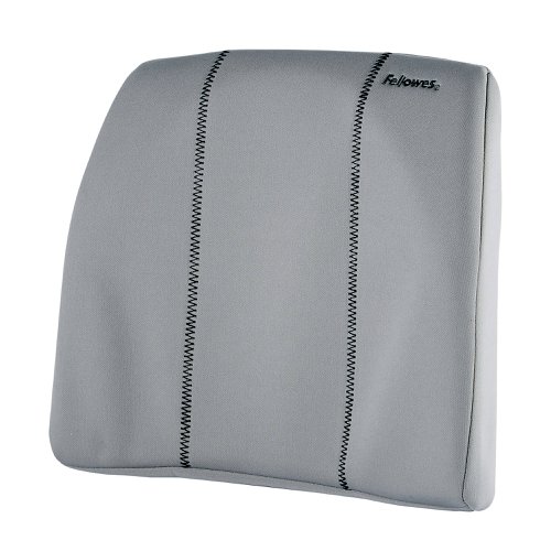 Fellowes Slimline Back Support Graphite 9190901