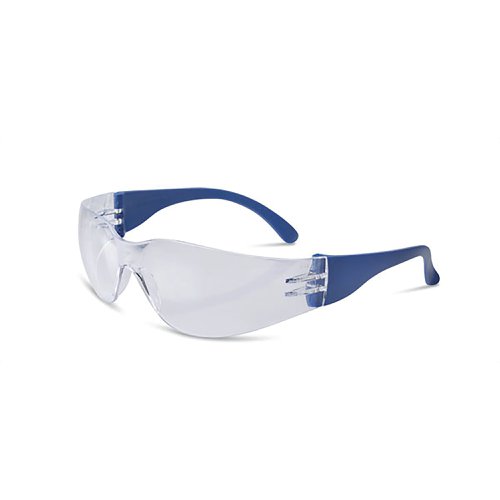 Beeswift Everson Safety Spectacle Clr BBES