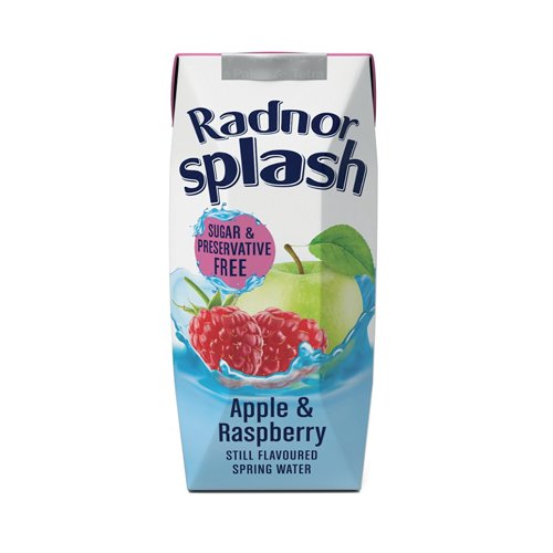 Radnor Hills Splash Water Apple Raspberry 250ml Pack Of 24 0201067