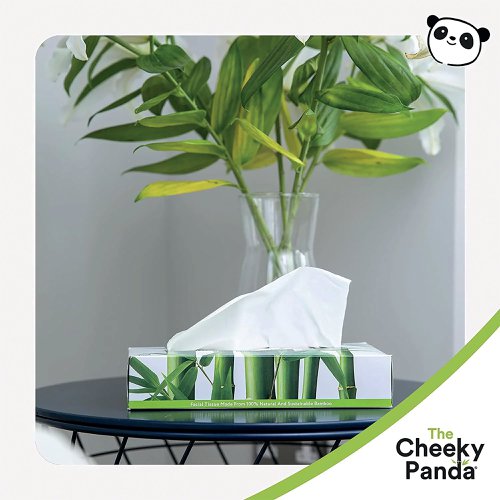 Cheeky Panda Facial Tissues Box 80 Sheets (Pack of 12) 1103039