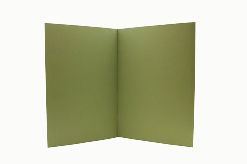 Exacompta Guildhall Square Cut Folder 315gsm Foolscap Green (Pack of 100) FS315-GRNZ