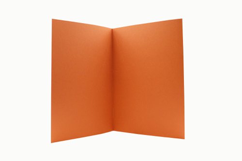 Exacompta Guildhall Square Cut Folder 315gsm Foolscap Orange (Pack of 100) FS315-ORGZ