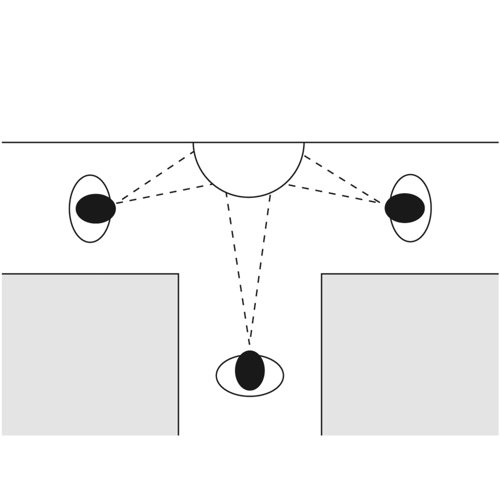 Panoramic 180 Observation Mirror 600mm FS593450