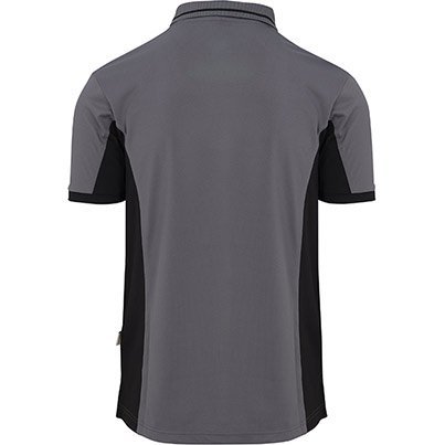 ARC09171