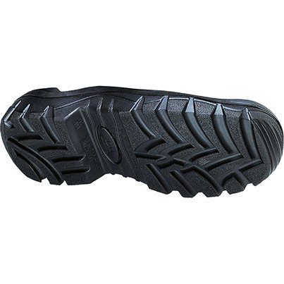 ARC29323