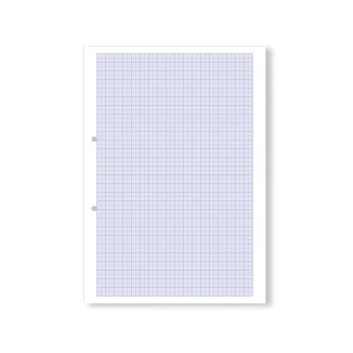 Hamelin Loose Leaf Graph Paper 10mm 1000 Page Punched 2 Hole A4 (Pack of 5) 100104375