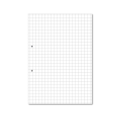 Hamelin Loose Leaf Paper 10mm Squared 1000 Page Punched 2 Hole A4 (Pack of 5) 100104180