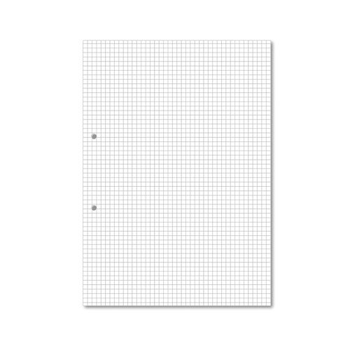 Hamelin Loose Leaf Paper 5mm Squared 1000 Page Punched 2 Hole A4 (Pack of 5) 100103318