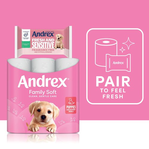 Andrex Family Soft Toilet Roll 2-Ply 170 Sheets Per Roll 6x4 (Pack of 24) 4490863 Toilet Tissue KC22566