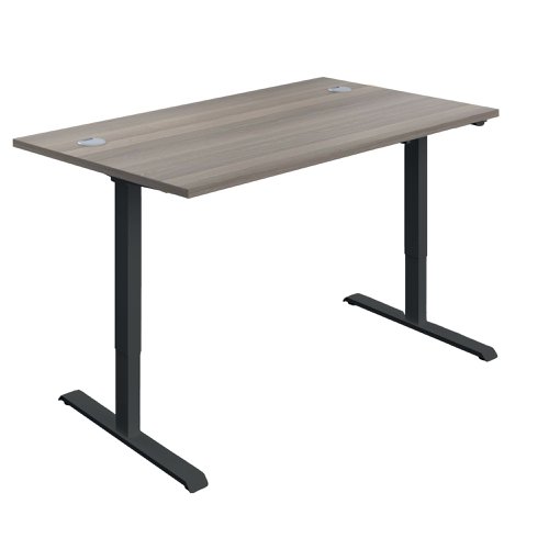 Jemini Economy Single Motor Sit/Stand Desk 1200x800x735-1235mm Grey Oak/Black KF822781