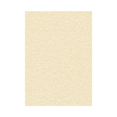 Decadry Parchment A4 Letterhead Paper 95gsm Champagne (Pack of 100) PCL1601 | Apli