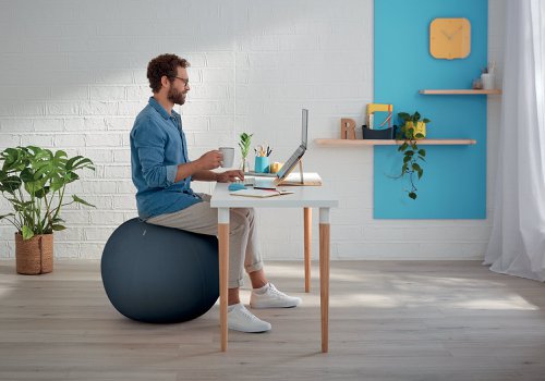 Leitz Ergo Cosy Active Sitting Ball Velvet Grey 52790089