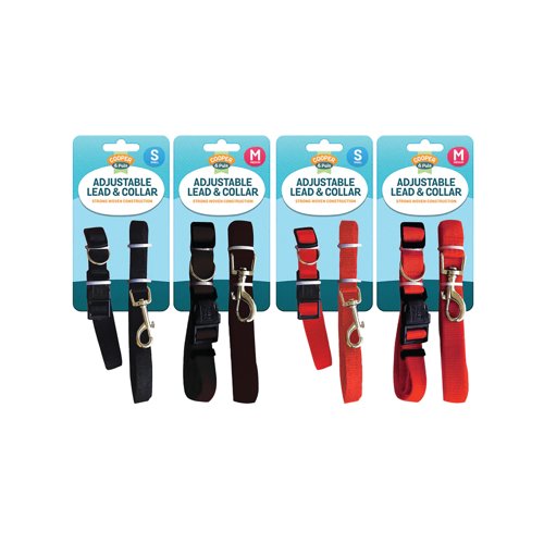 Dog Lead and Collar Small and Medium x2 Assorted Pack of 12 313599