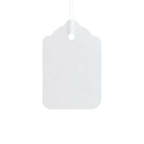 Go Secure by 5 Star Strung Tags x100 29x20mm White Pack of 25 PB11286
