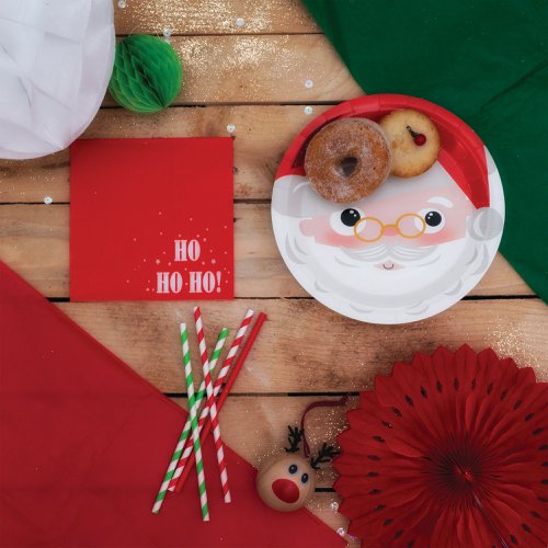 PP17986 | Our printed Santa plates provide a sturdy surface for nibbles, snacks and sweet treats and measure 23cm in diameter. Supplied in a pack of 8 paper plates.