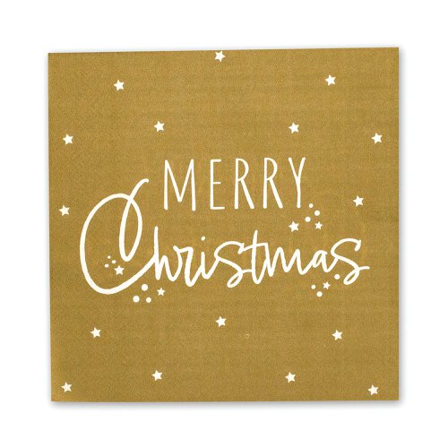 Pukka Party Napkins 2-Ply Merry Christmas Design (Pack of 16) PTY561