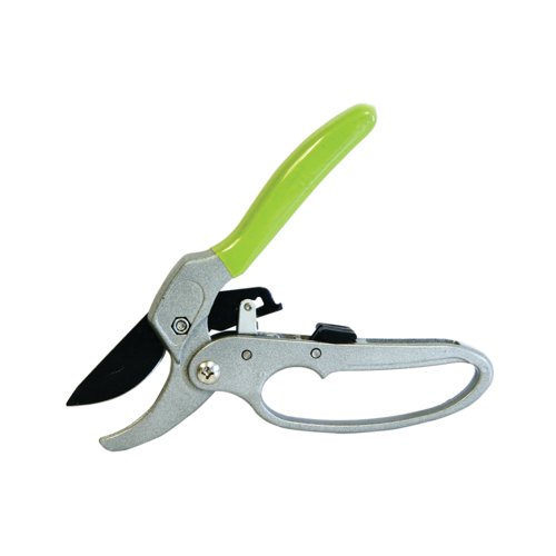 Rolson Ratchet Action Anvil Secateurs 200mm Pack of 6 Anvil Secateurs