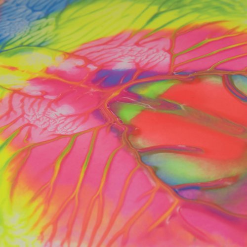 Ready Mixed Paint 500ml Fluorescent Assorted (Pack of 6) AR01014