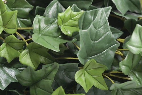 Vistafolia Trailing Ivy Texture Box (Pack of 9) TBX-TIV