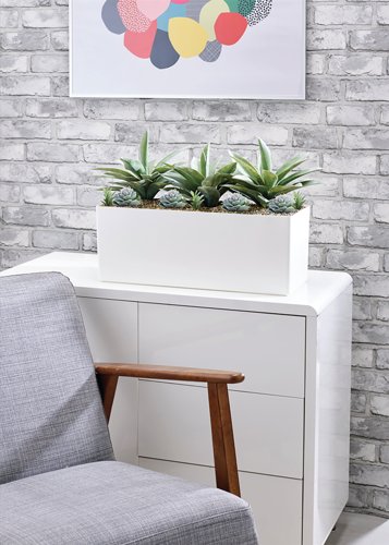Agave and Succulent Matte White Trough LLRAGS350/RDYWH