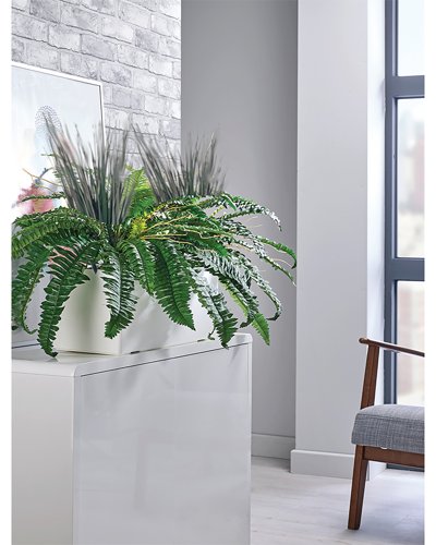 Boston Fern and Savannah Grass Matte White Trough LLRBFS550/RDYWH