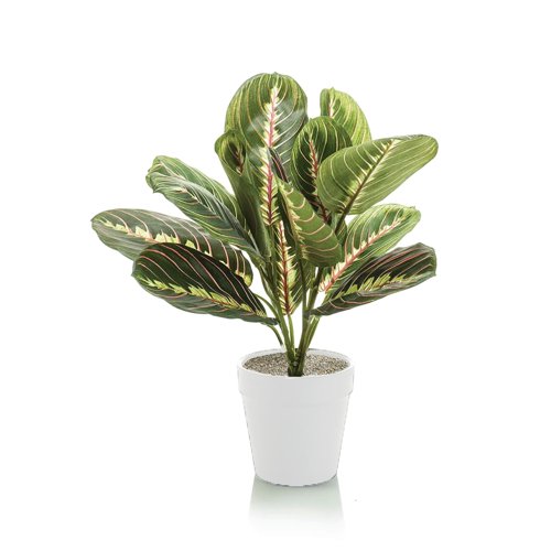 Tabletop Maranta Bush Matte White Planter LLRMAB340/RDYWH