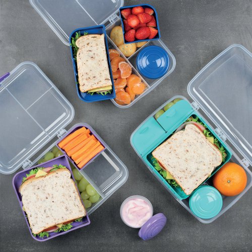 Sistema Bento Cube to Go 1.25L 21685 | Newell Brands