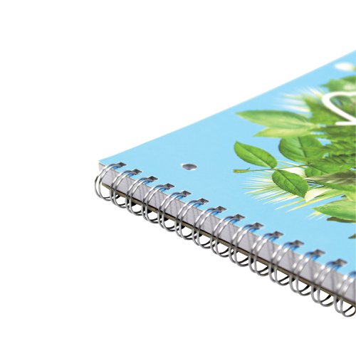 Silvine Premium Environmentally Friendly Ruled Notebook 160 Pages A4 (5 Pack) R202 | Sinclairs