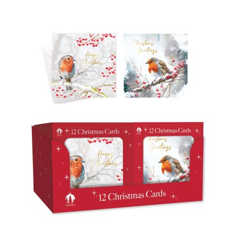 Boxed Robin/Holly Christmas Cards x12 Pack of 24 X9078B