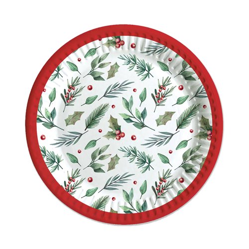 Traditional Christmas Party Paper Plates x6 Pack of 12 X9979B