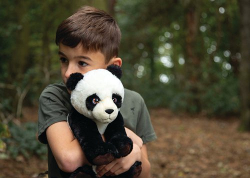 TOYPANDA