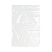 Minigrip Bag 255x355mm Clear (1000 Pack) GL-14