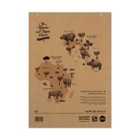 Rhino Recycled Flipchart Pad 20mm Sqd/Plain A1 Pack of 5 SRFC-4 CTN