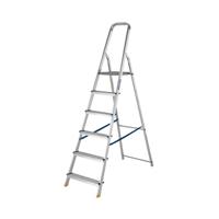 Werner 6 Tread Stepladder with High Handrail Aluminium 7400618L