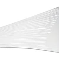 ANT50641