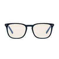 Bolle Safety Glasses Wellington Unisex Problu Glasses