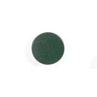 Bi-Office Round Magnets 30mm Green Pack of 10 IM130109