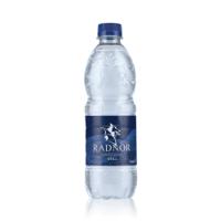 Radnor Hills Still Water 500ml (Pack of 24) RH5STPC