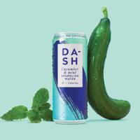 DSH30002