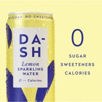DSH30005