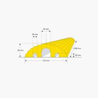 FS607607