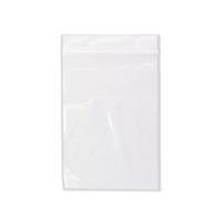 Minigrip Bag 100x140mm Clear (1000 Pack) GL-06