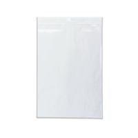 Minigrip Bag 225x319mm Clear (1000 Pack) GL-A4